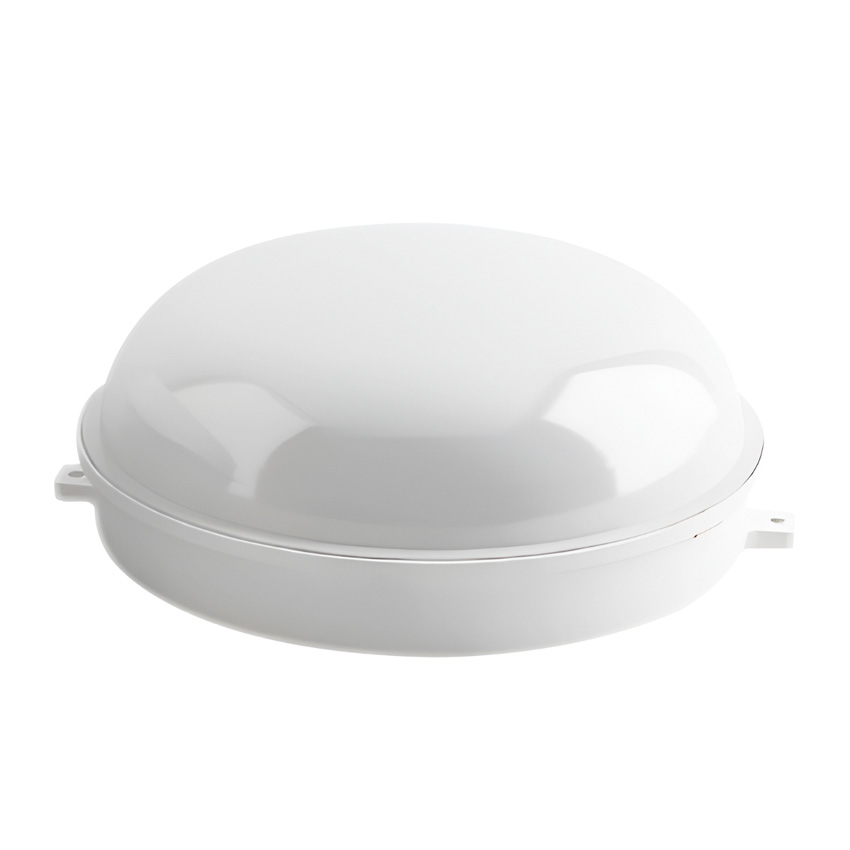 Led Tortuga 