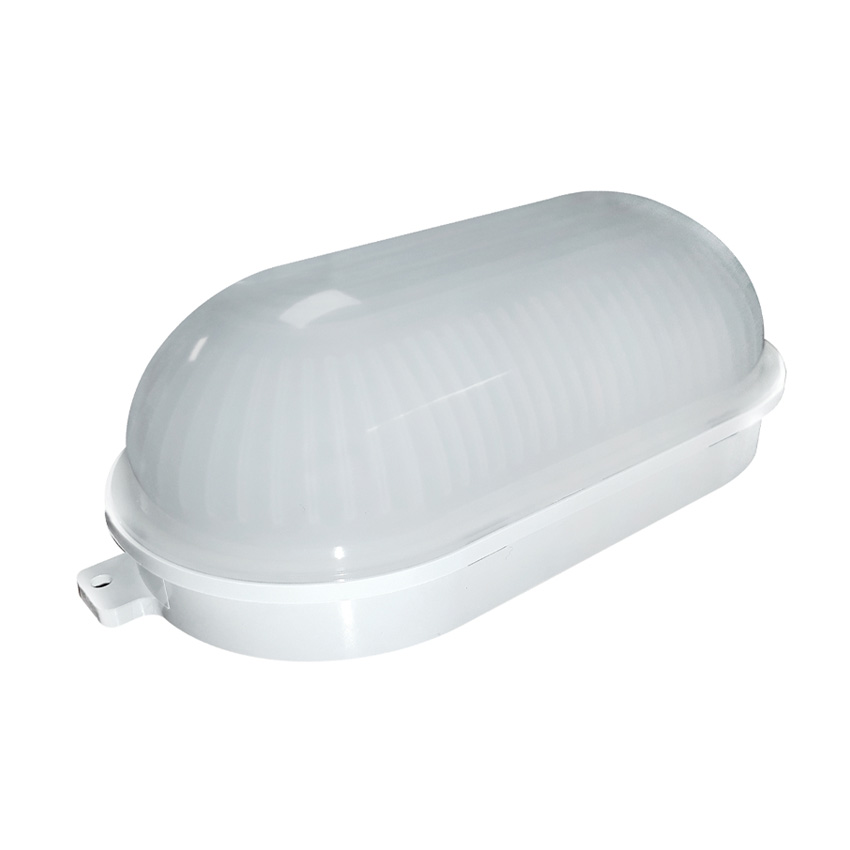 Led Tortuga 