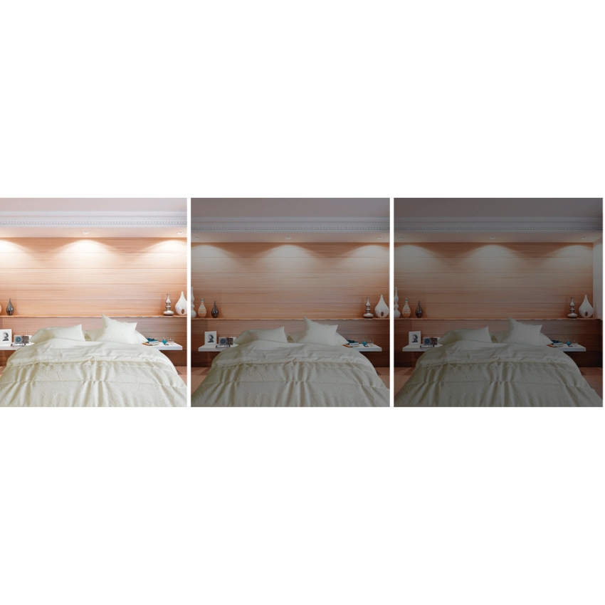 Led Toledo Radiance G2