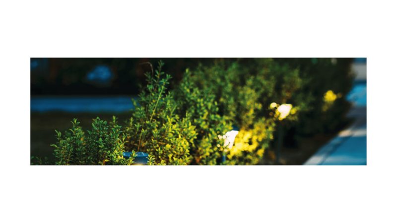 LED ESTACA JARDÍN - Imagen 2